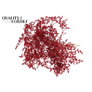 Limonium Tataricum per bunch Red