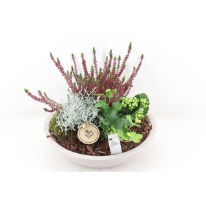 arr4 Outdoor PL - Zink schaal taupe