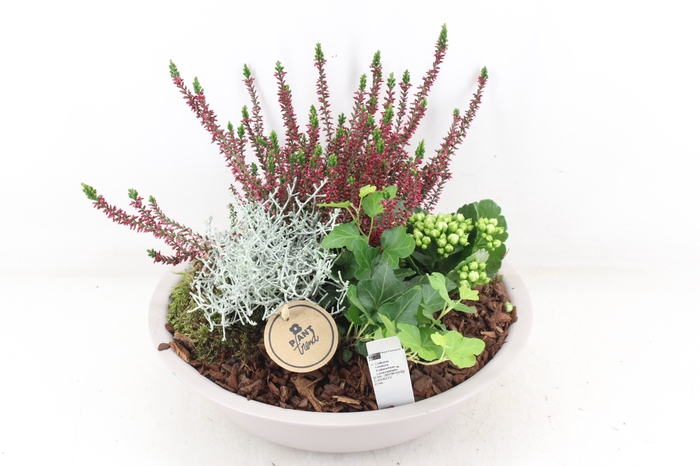 <h4>arr4 Outdoor PL - Zink schaal taupe</h4>