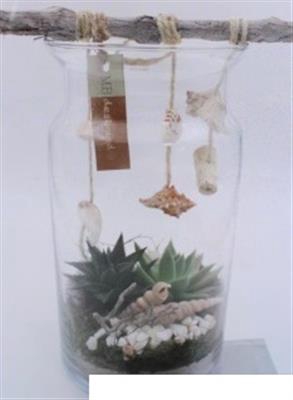 <h4>2711 BLOOMON SUCC SCHELP</h4>