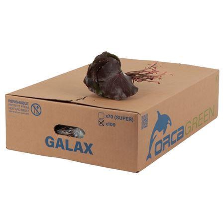 <h4>DEC GALAX</h4>