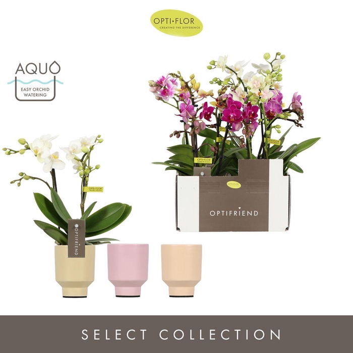 <h4>Optifriend Mix 2 spike in Emilia Mix Aquo</h4>