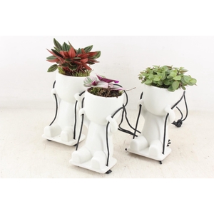 arr3 SN - Ker. pop swing mix