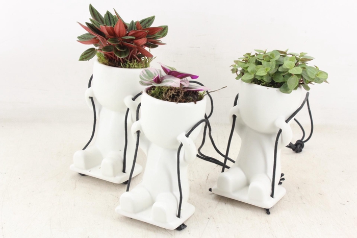 <h4>arr3 SN - Ker. pop swing mix</h4>