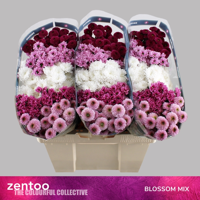 CHR S GEM BLOSSOM MIX