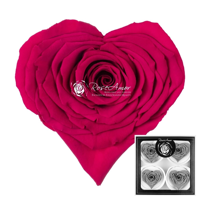 <h4>Corazon Bella Pin05</h4>