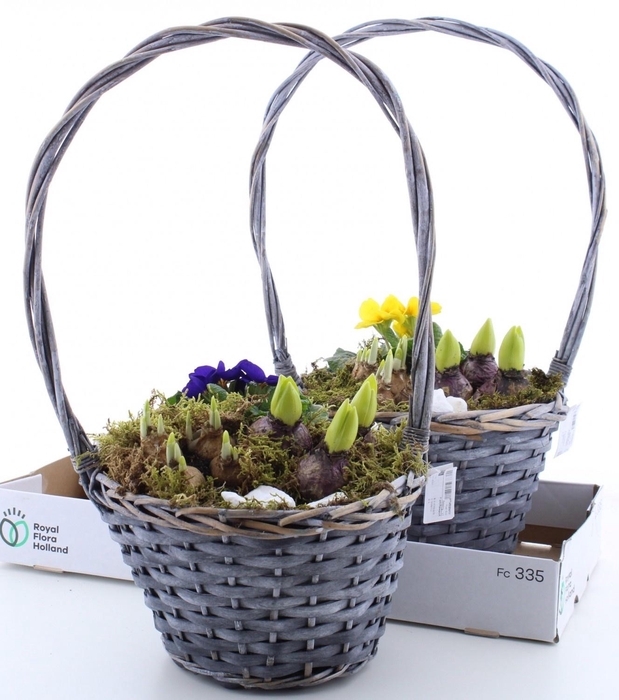 <h4>ARR PL IN SCHAAL</h4>