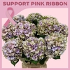 Hydrangea royal benefit classic