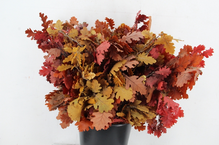 <h4>PF OAK LEAFS BS 150GR</h4>
