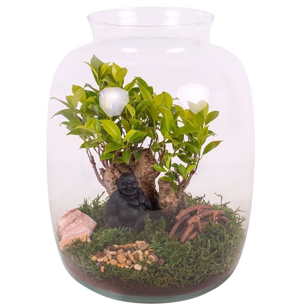 Bonsai ball-shape mixed ø20cm in glass vase ø25cm