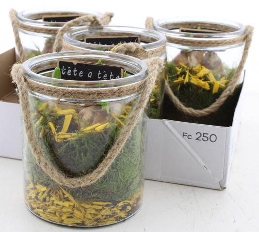 <h4>ARR N TETE A TETE</h4>