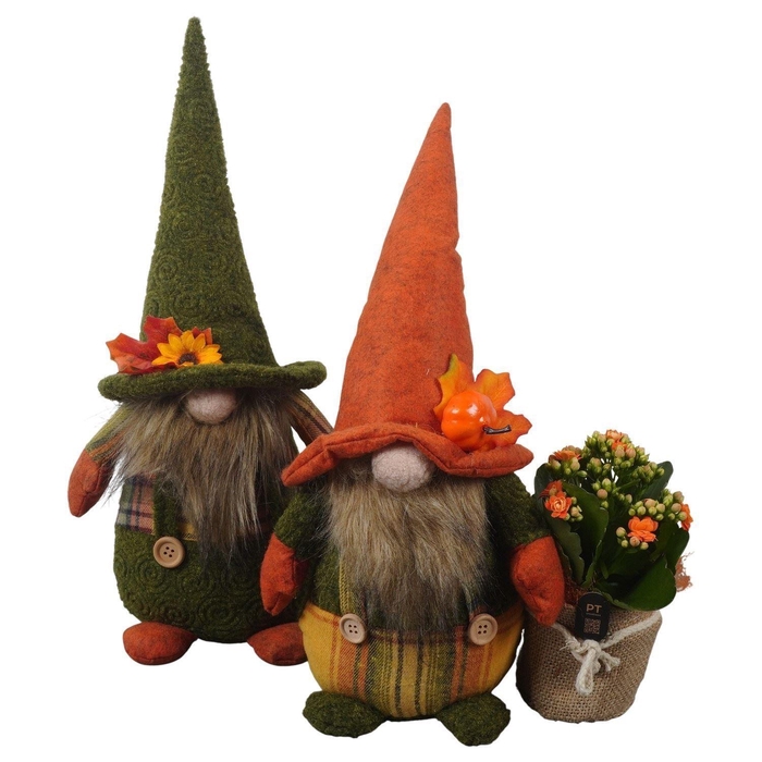 <h4>Arr.   Planten L%</h4>