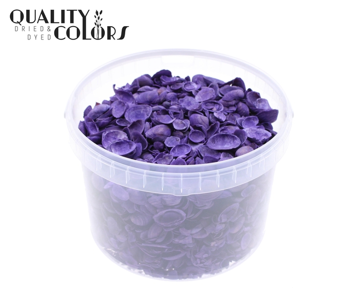 Shells north sea 3 ltr Purple