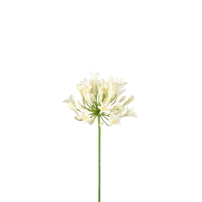 <h4>Kunstbloemen Agapanthus 75cm</h4>