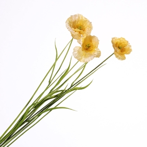 Papaver Spray Yellow FL440340YEL