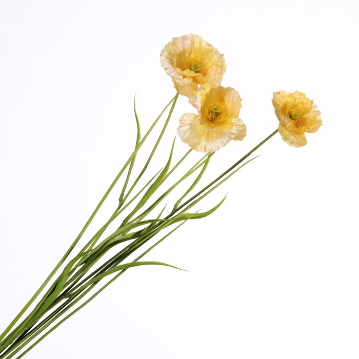 <h4>Papaver Spray Yellow FL440340YEL</h4>