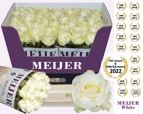 <h4>R GR AVALANCHE+ MEIJER WHITE 60cm</h4>