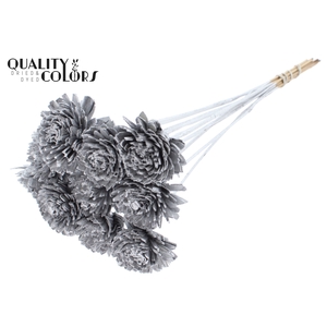 Shola Zinia 6cm on stem Silver