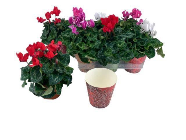 <h4>CYCL OVERIG</h4>