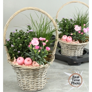 ARR TUINPLANTEN