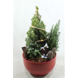 7242 ROOD KER BOOM+LED