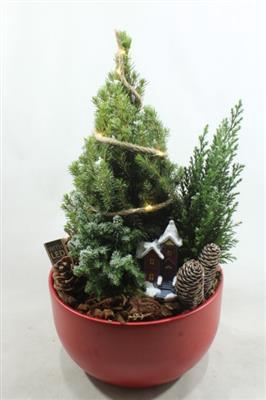 <h4>7242 ROOD KER BOOM+LED</h4>