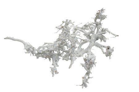 <h4>BONSAI WOOD WHITE P CRATE</h4>