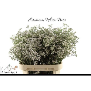 LIM WHITE NETO