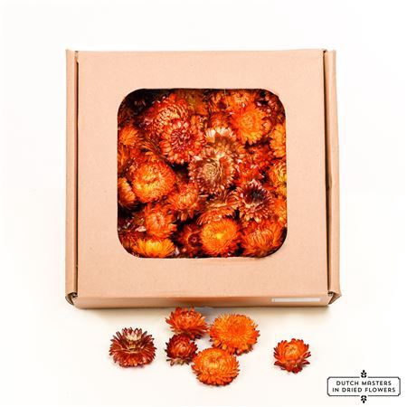 <h4>Dried Helichrysum Heads Orange Box</h4>