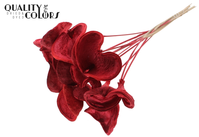 <h4>Badam On Stem Bleached Red</h4>