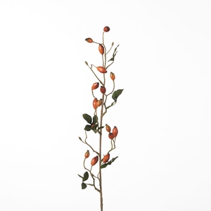 Af Rosehip Zaffiro Sp L84cm Or