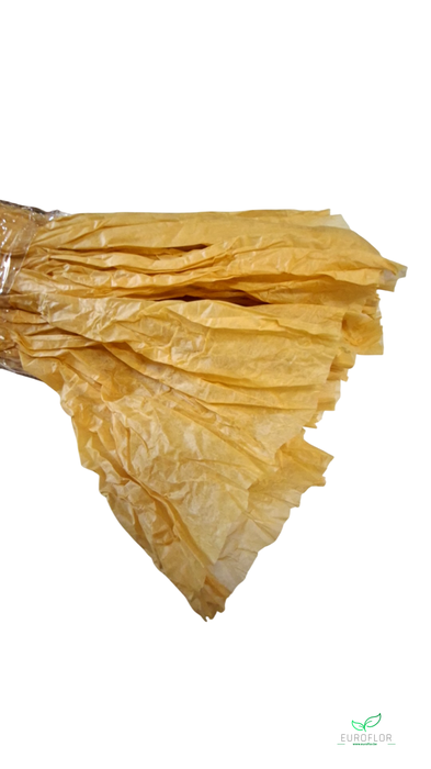 NON WOVEN SHEETS 50CMX1,5M GOLD 5PCS