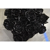Rosa ec paint black