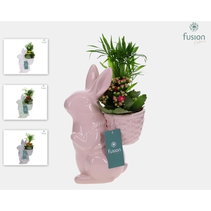 Pasen Haas keramiek medium 4 kleuren met arrangement