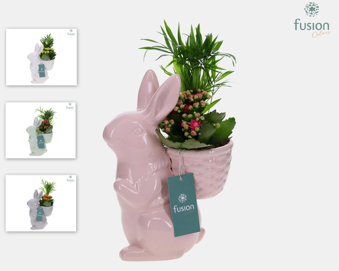 <h4>Pasen Haas keramiek medium 4 kleuren met arrangement</h4>