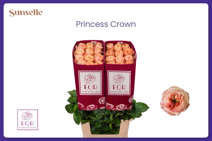 <h4>R GR PRINCESS CROWN</h4>