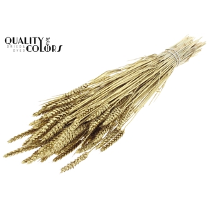 Triticum per bunch Gold + Glitter