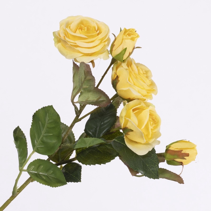 <h4>Rosa Spray Yellow FL440242YEL</h4>