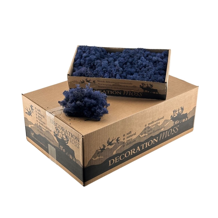 Ijslandsmos Classic Blue