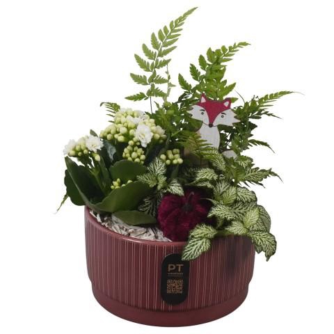 <h4>PTHI3207 Arrangement Autumn Indoor in keramiek schaal</h4>