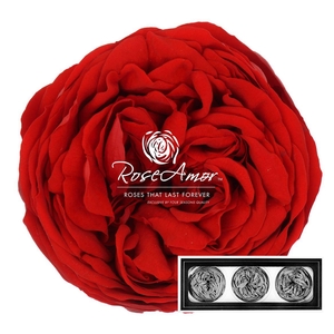 Kabukyza Per 3 Red02