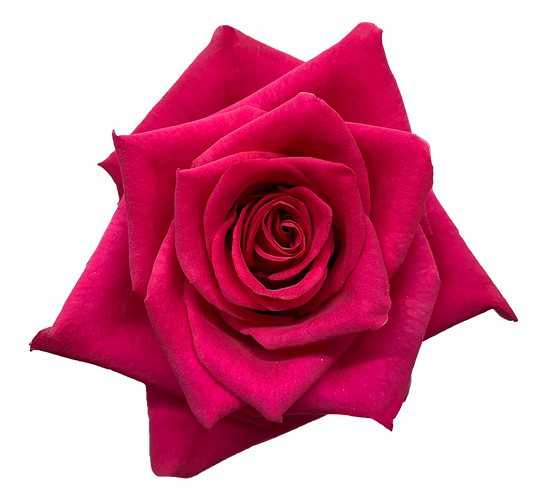 <h4>R GR HOT EXPLORER Naranjo</h4>