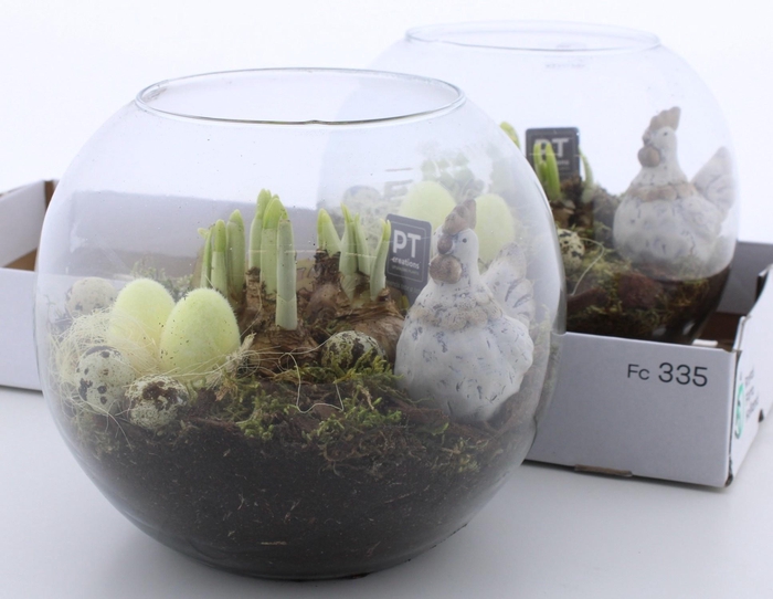 <h4>ARR N TETE A TETE</h4>