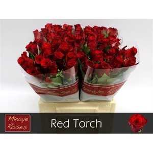 R GR RED TORCH