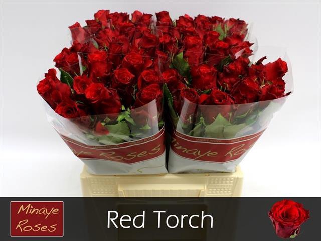 R GR RED TORCH