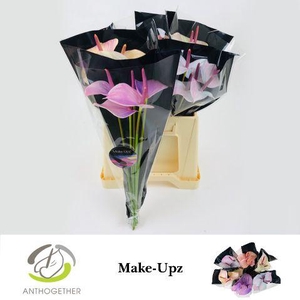 Make - Upz Party 30