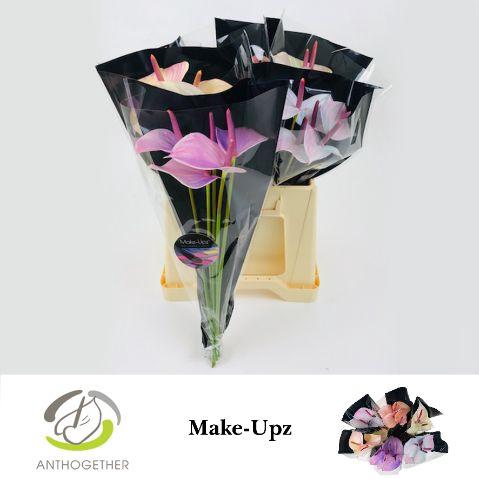 <h4>Anthurium mix Love</h4>