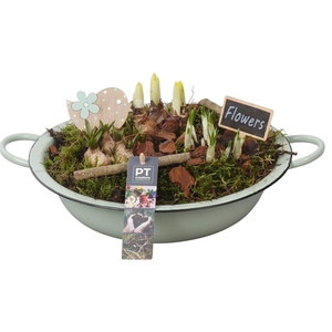 Arr.   Tuinplanten L%