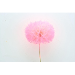 Pres Puste Flower Pink