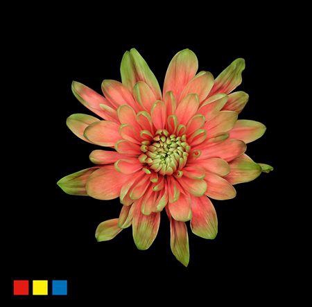 <h4>Chr T 2 Kl Baltica Bubblicious</h4>